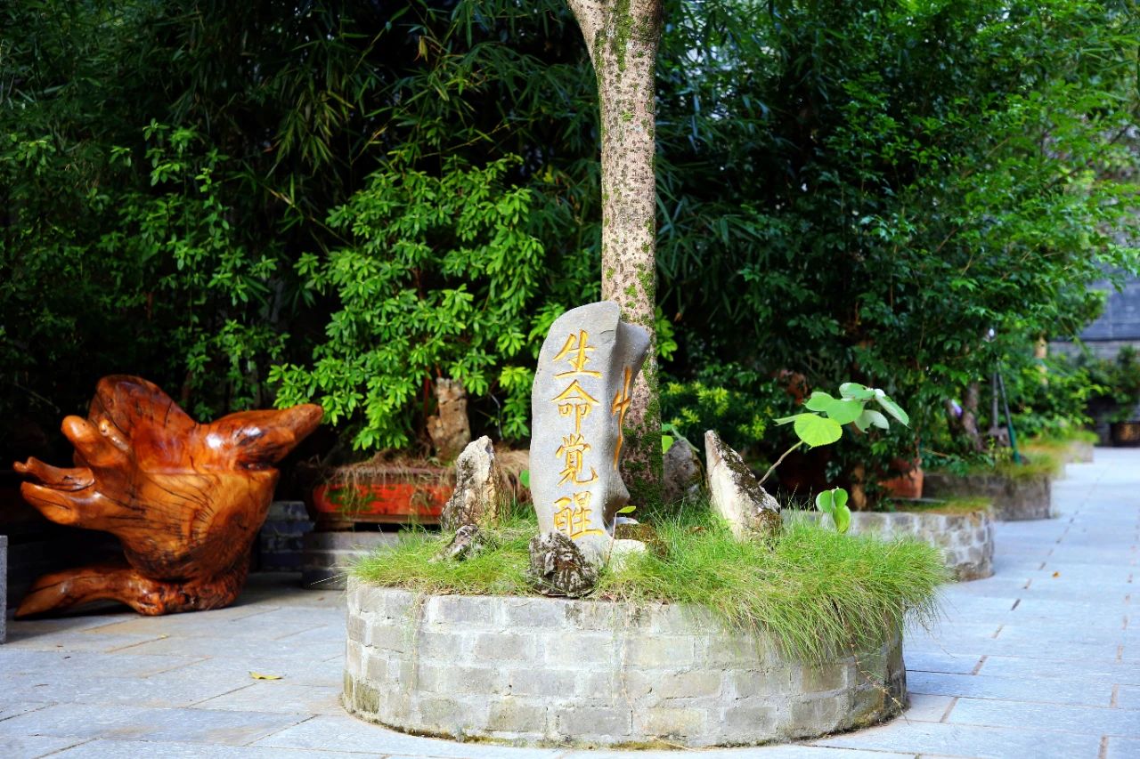 對(duì)孩子而言，什么才是最好的教育？